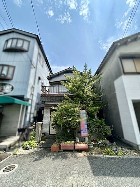 現地写真