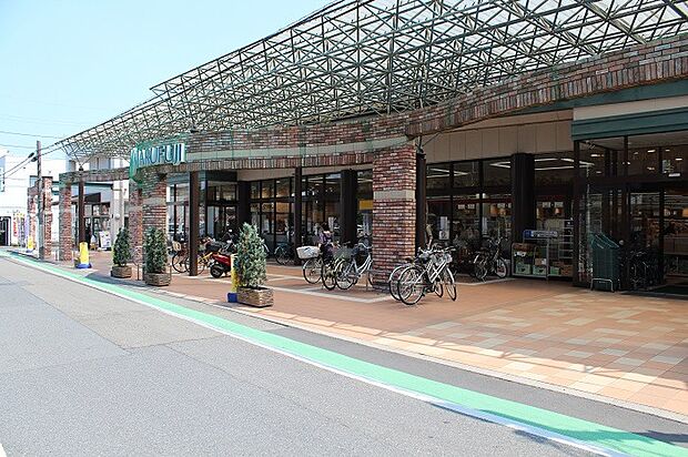 マルフジ千ヶ瀬店まで(1305m)