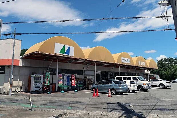 マルフジ舘谷店