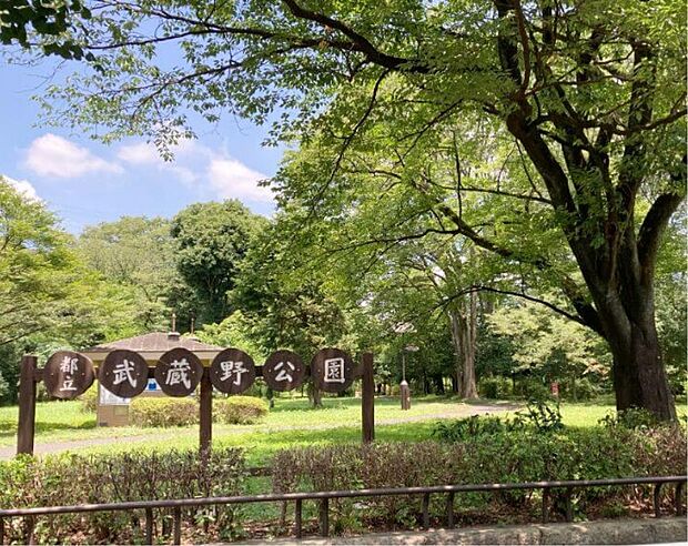 武蔵野公園 徒歩4分・お子様と手を繋いで歩いて行くのにちょうど良い距離です。