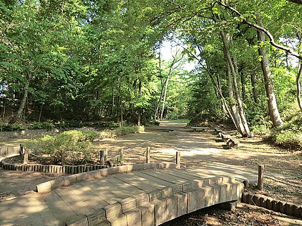 羽加美緑地公園 徒歩6分 豊かな雑木林が残り、まるで深い森に迷い込んだような散策を楽しめる公園。静か