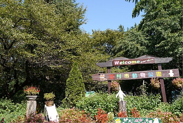 ヒノトントンZOOまで(1100m)