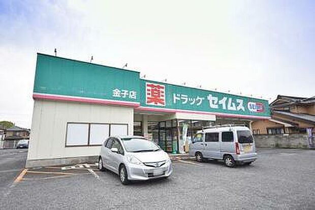 ドラッグセイムス金子店まで(1300m)