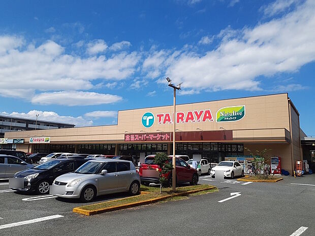 TAIRAYA拝島店まで(800m)