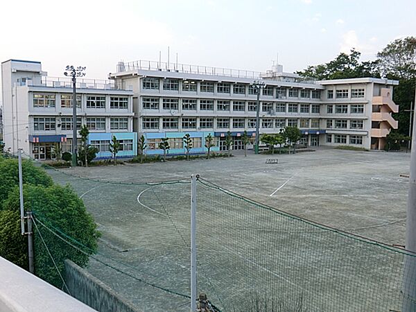 福生第七小学校まで（240m）