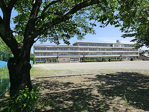 本宿小学校まで(240m)