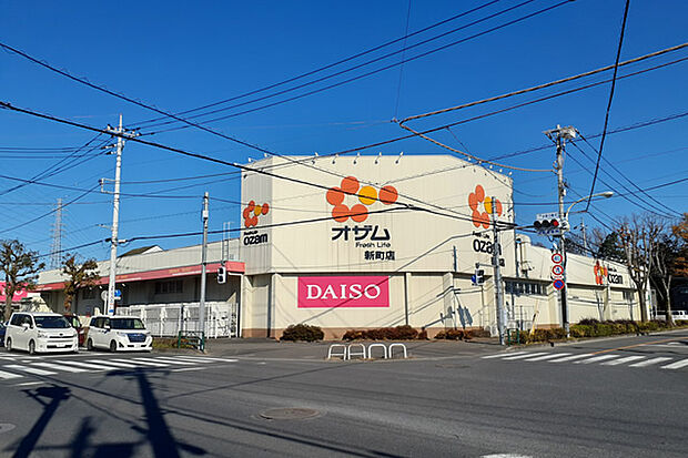スーパーオザム新町店まで(800m)