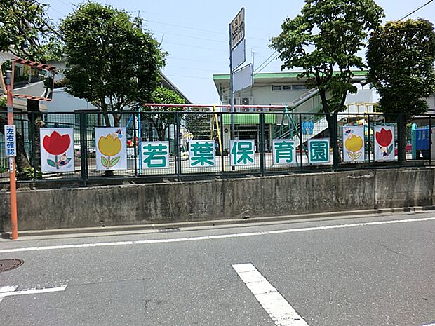 若葉保育園まで(700m)