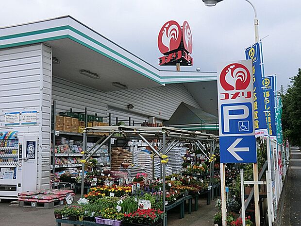 コメリハード&グリーン青梅今寺店まで(608m)