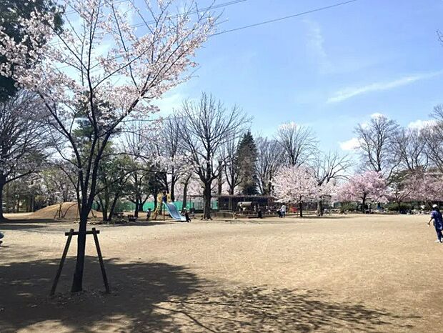 昭和公園まで(1000m)