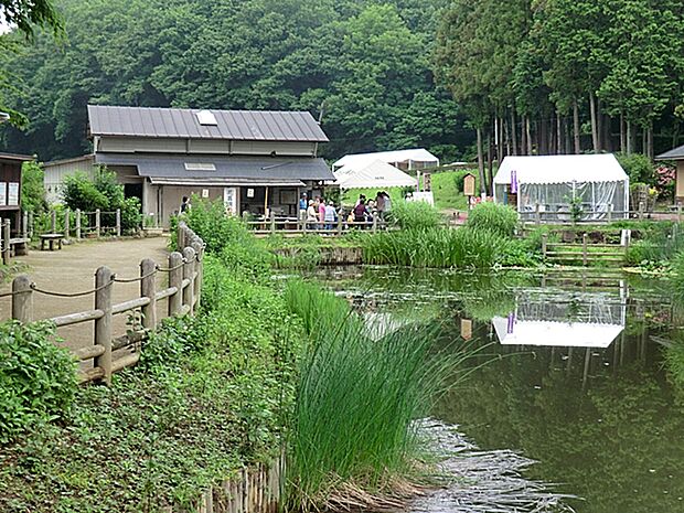 吹上しょうぶ公園まで（800m）