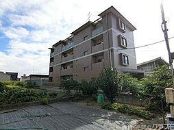 ラフィーネ葛野