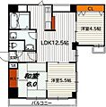 フィエルテ四条烏丸シュッド10階13.0万円
