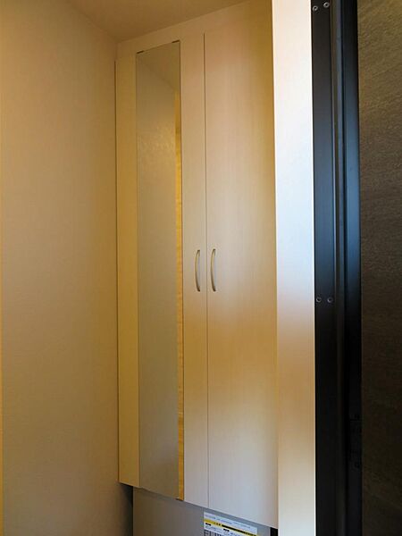 画像8:玄関には鏡付きの大きなシューズボックスを搭載です。