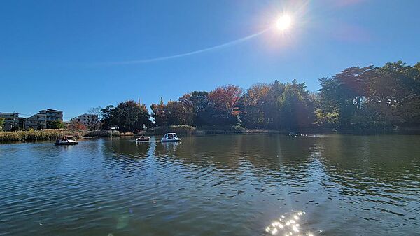 石神井公園