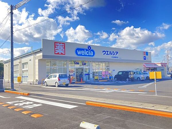 ウエルシア 小松島横須店 740m