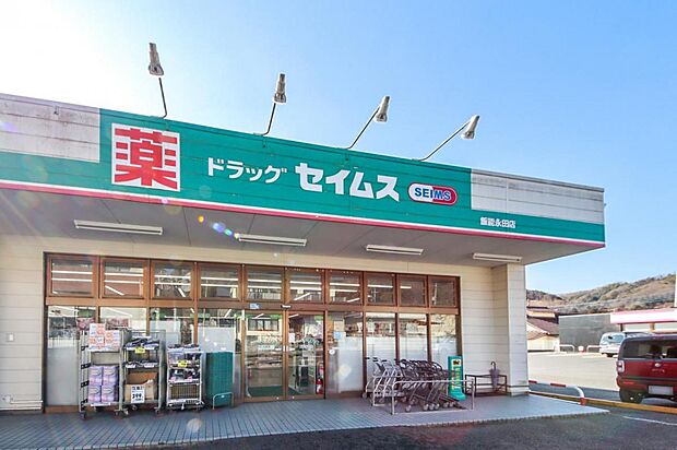 ドラッグセイムス 飯能永田店（542m）