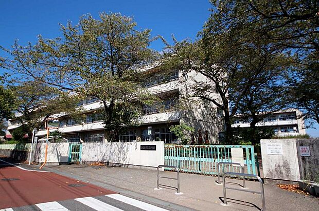 青梅市立若草小学校(551m)