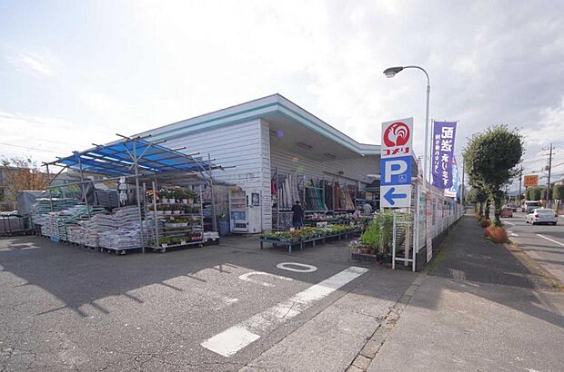 コメリハード&グリーン 青梅今寺店(2252m)