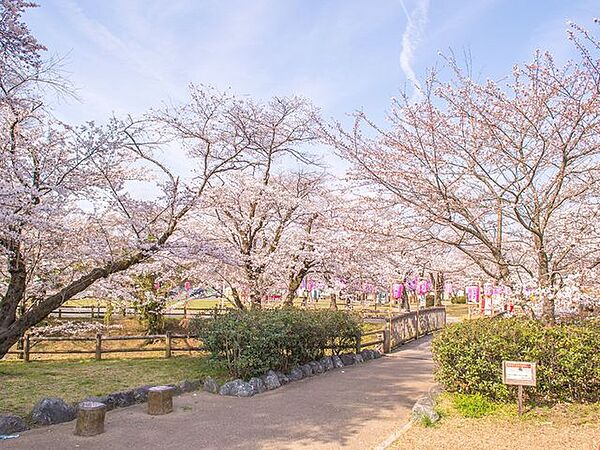 飯能市中央公園 417m