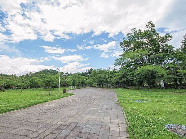 中央公園 徒歩17分。 1310m