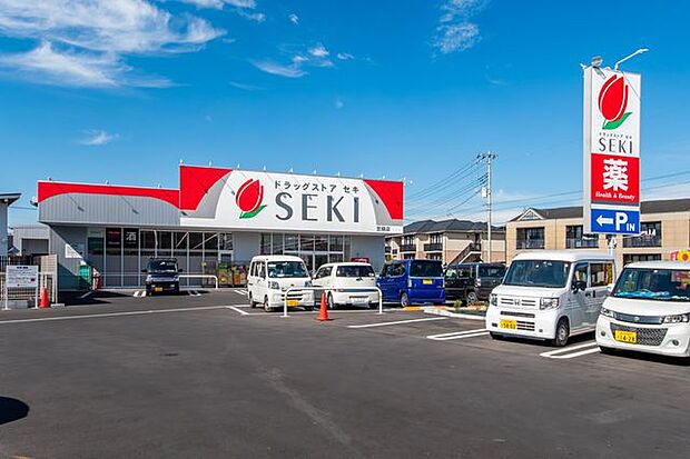 ドラッグストアセキ笠縫店 徒歩7分。 500m