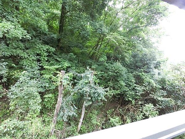 ■バルコニーからの眺望