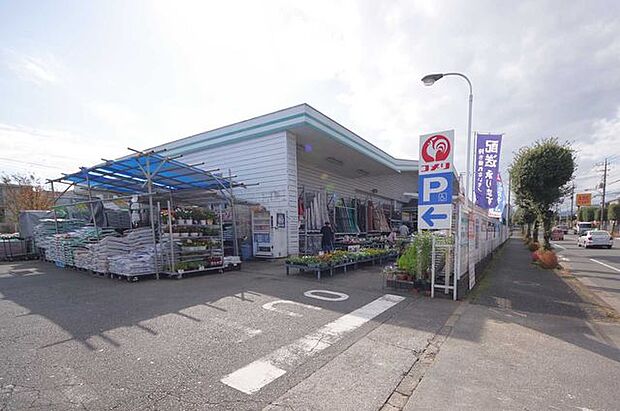 コメリハード＆グリーン青梅今寺店 徒歩30分。 2340m