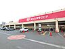 周辺：スーパーバリュー ロピア飯能店 徒歩10分。 800m