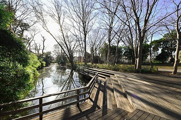 仙波河岸史跡公園(234m)