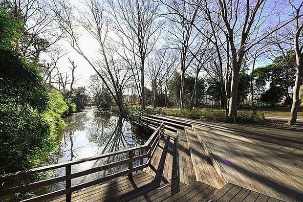 仙波河岸史跡公園 234m
