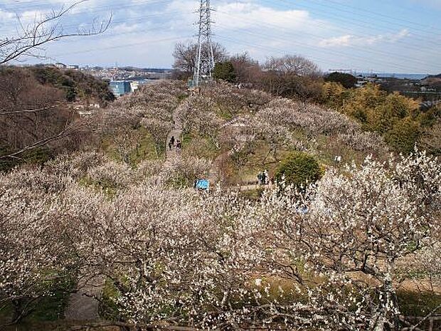 【その他】田浦梅の里まで2861ｍ