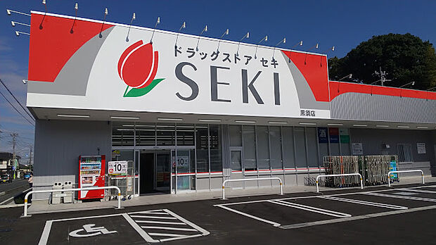 ドラッグストアセキ黒須店（1018m）