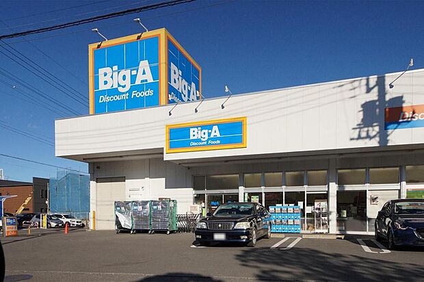 ビッグ・エー 入間仏子店（1999m）