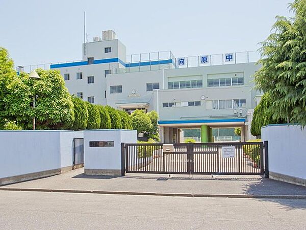 入間市立向原中学校 1439m