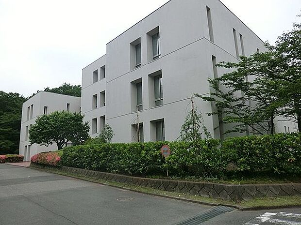 武蔵野音楽大学武蔵野幼稚園 徒歩11分。 844m