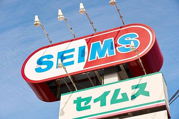 ドラッグセイムス 入間下藤沢店 775m