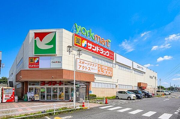 【　周辺環境　】ヨークマート入間店、サンドラッグ下藤沢店など（現地から徒歩2分）