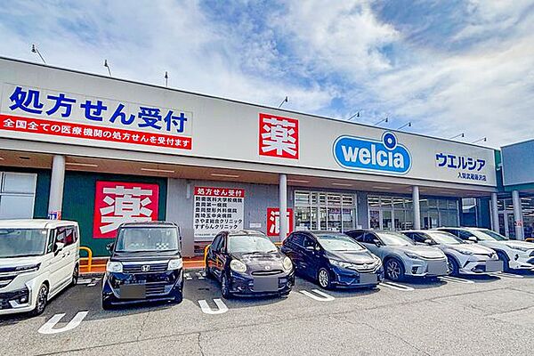 ウエルシア入間武蔵藤沢店 徒歩9分。 710m