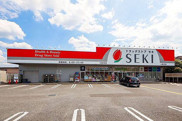 ドラッグストアセキ上藤沢店 徒歩15分。 1190m