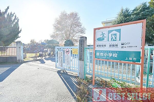 上尾市立原市小学校 徒歩13分 1020m