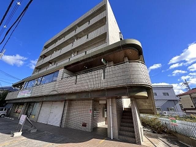 4 / 19