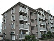 与野本町駅より徒歩31分 築41年8ヶ月 5階建の賃貸物件