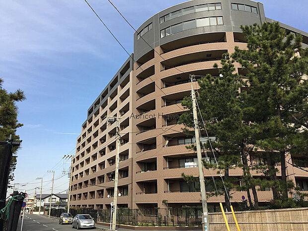 ＪＲ東海道本線 平塚駅まで 徒歩20分(3LDK) 5階の外観
