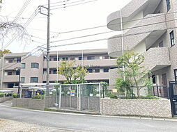 神奈川県厚木市山際