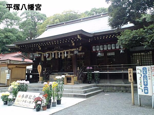 その他画像
