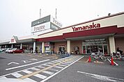 西枇フランテ館 1006m