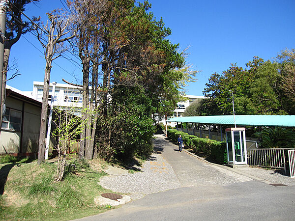 中学校　三浦市立初声中学校まで1357m　徒歩17分
