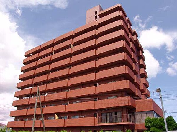 外観：312001242424