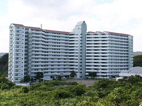 外観：312001296839